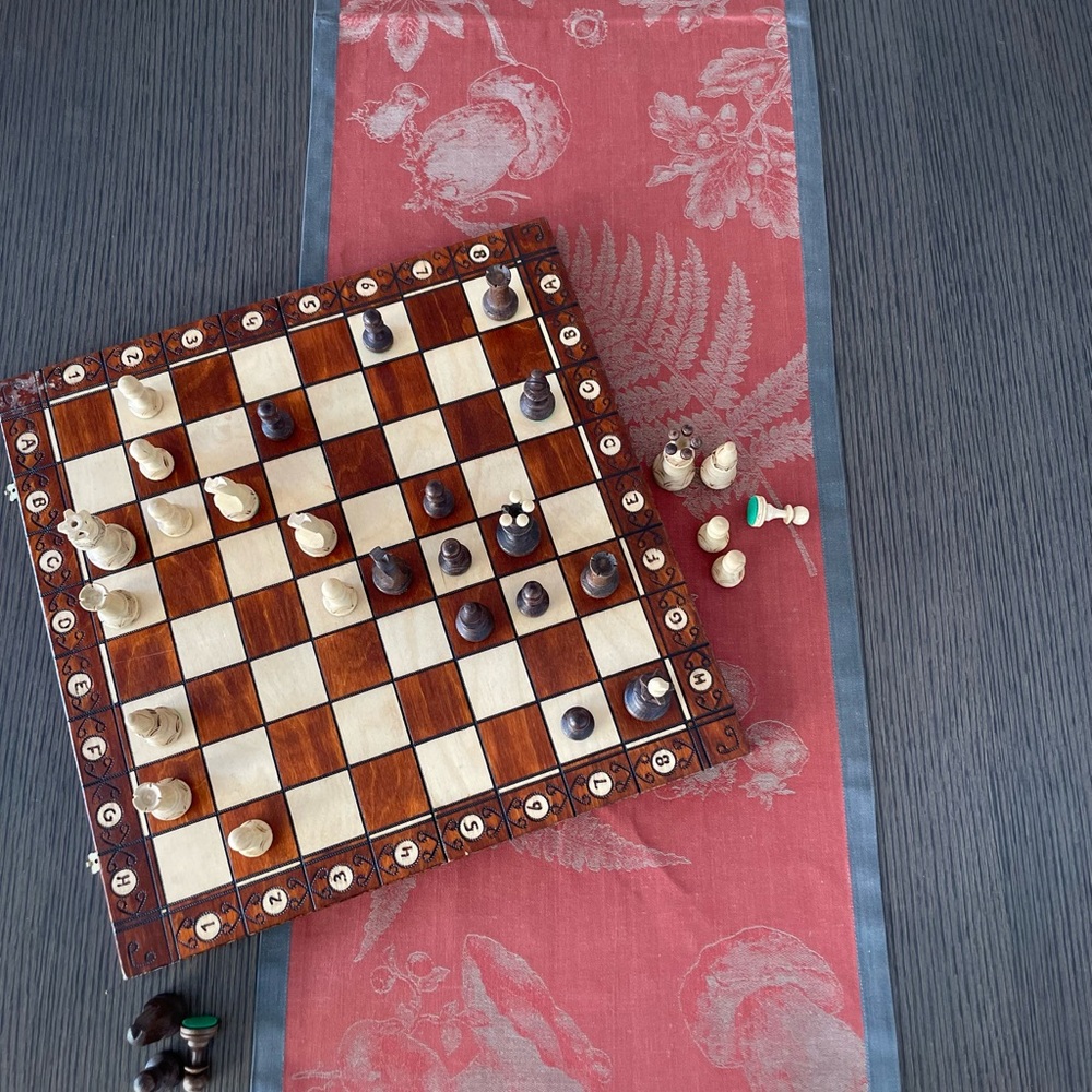 Williams Sonoma Jacquard Red Mushrooms Table Runner Rare and Discounted NEW